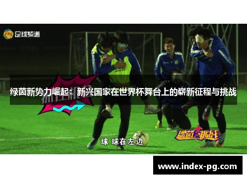 绿茵新势力崛起：新兴国家在世界杯舞台上的崭新征程与挑战