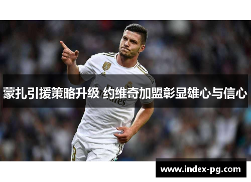 蒙扎引援策略升级 约维奇加盟彰显雄心与信心