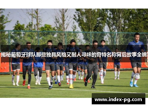 揭秘葡萄牙球队那些独具风格又耐人寻味的奇特名称背后故事全貌